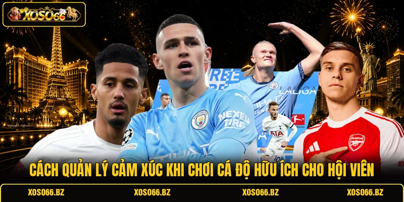 Cách Quản Lý Cảm Xúc Khi Chơi Cá Độ