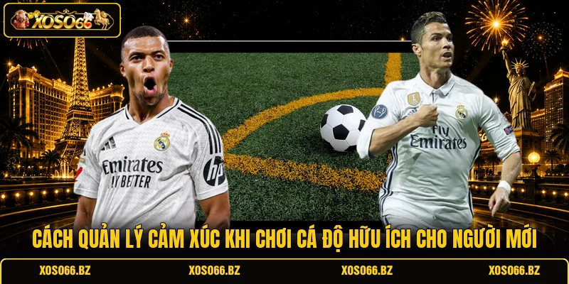 Cách quản lý cảm xúc khi chơi cá độ hữu ích cho người mới