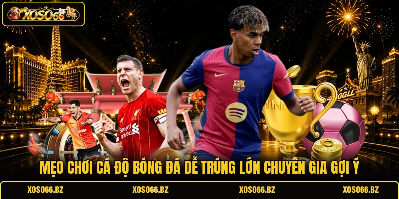 Mẹo Chơi Cá Độ Bóng Đá
